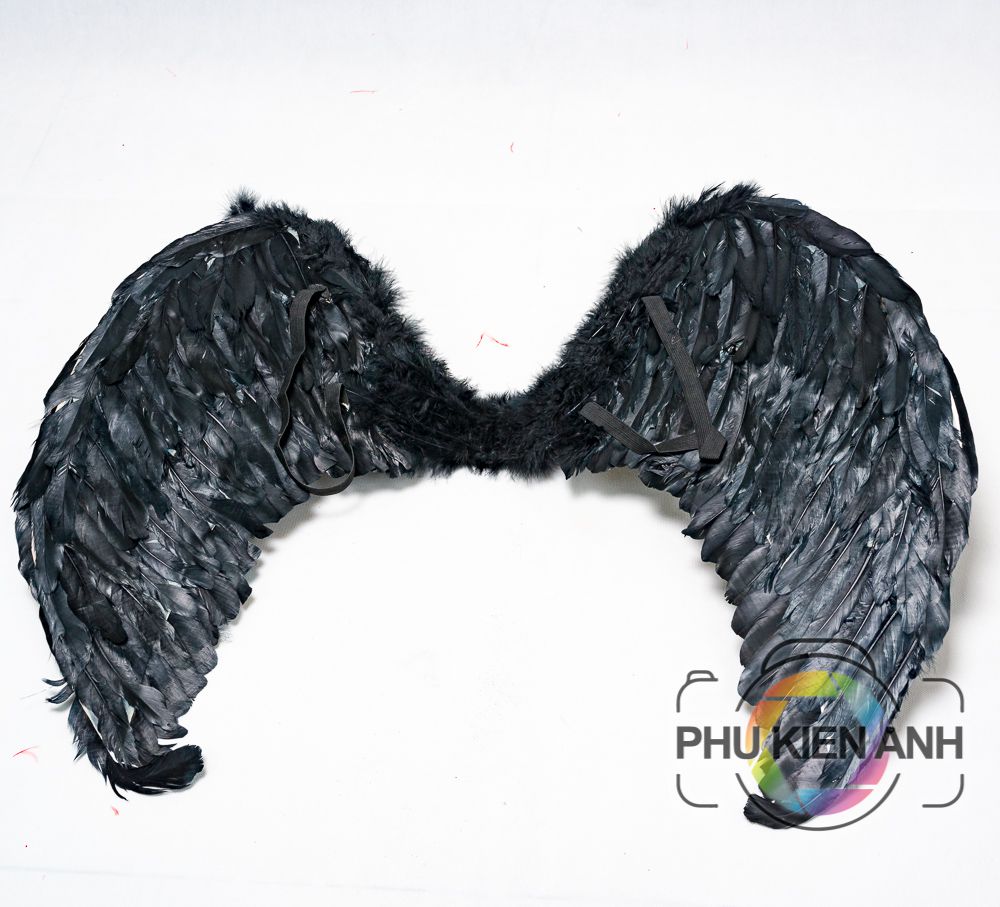 canh thien than lon mau den (1)