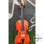 dan-violong-du-mau-1