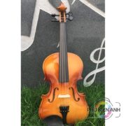 dan-violong-du-mau-2