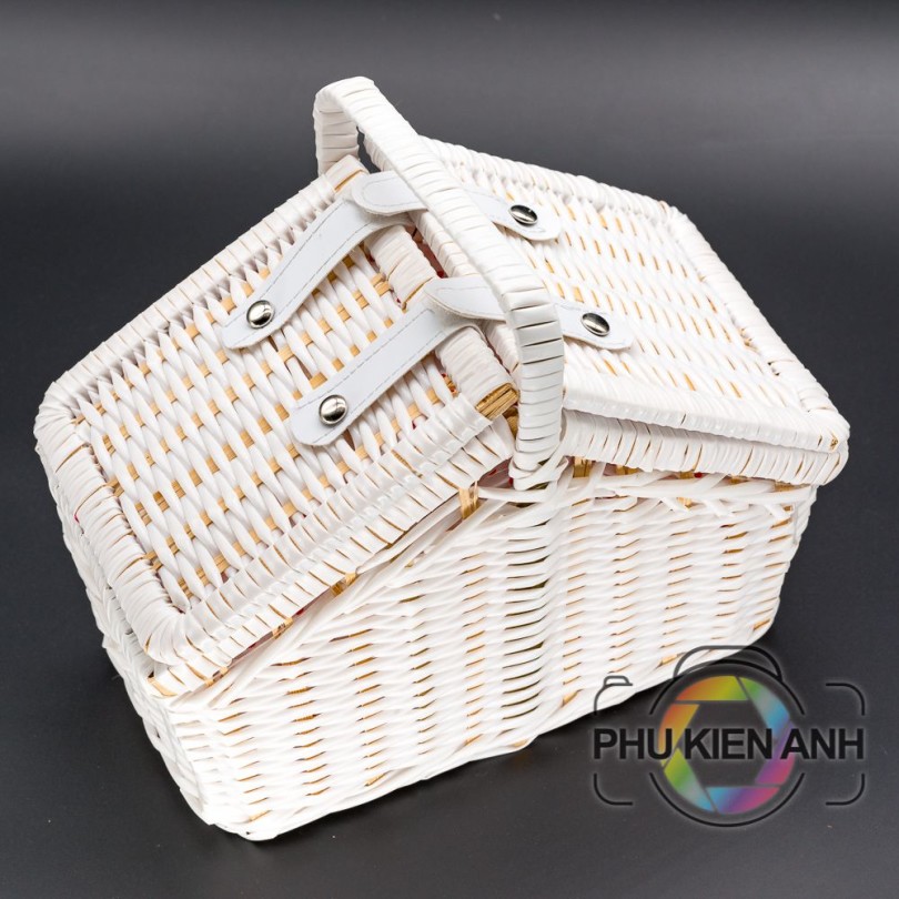 gio dung trai cay picnic (1)