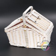 gio dung trai cay picnic (2)