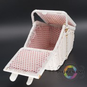 gio dung trai cay picnic (3)