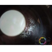 am-moc-re-tre-ong-kinh