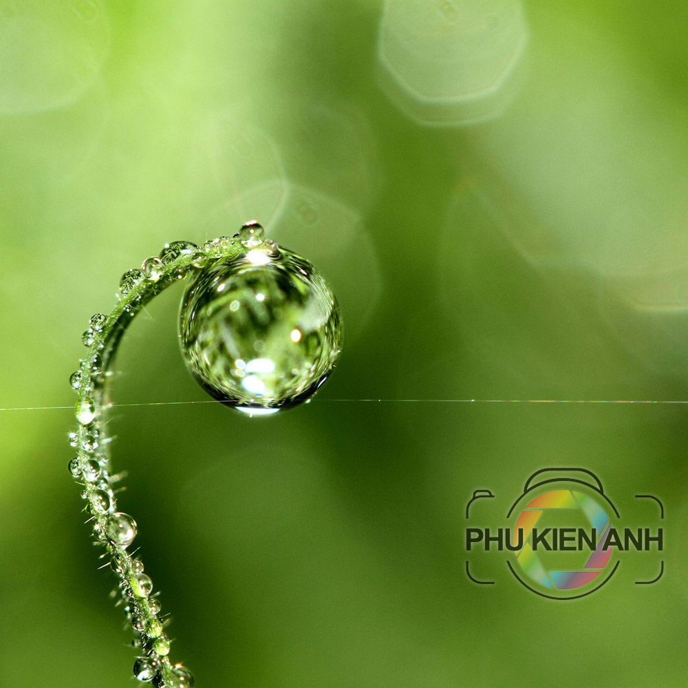 anh-chup-macro-4