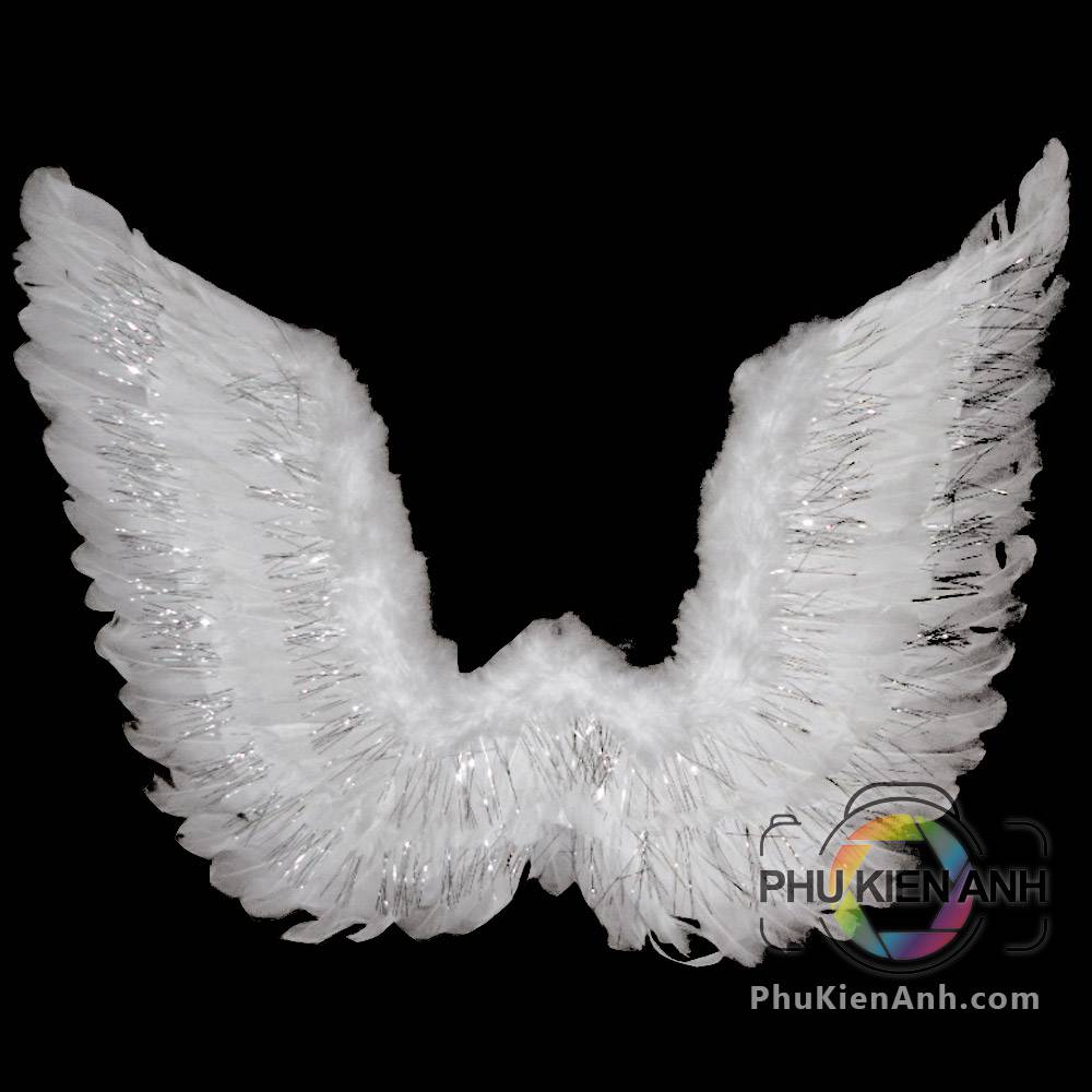 canh-thien-than-90-x-75