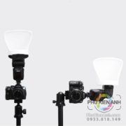 tay-gau-deo-selens-(3)