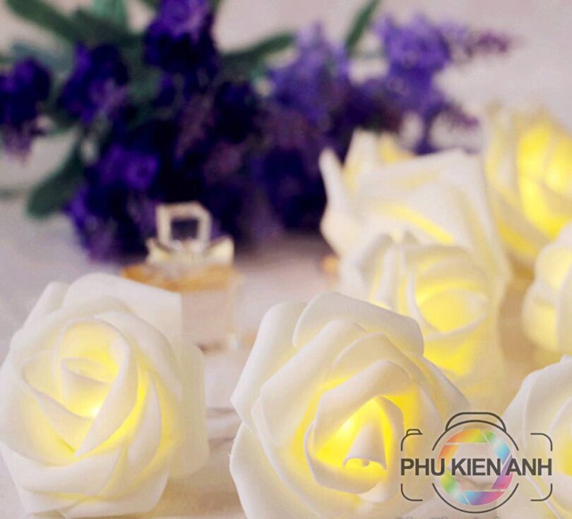 Bong-led-hoa-hong-20-bong-hop-pin-(1)