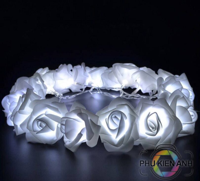 Bong-led-hoa-hong-20-bong-hop-pin-(11)