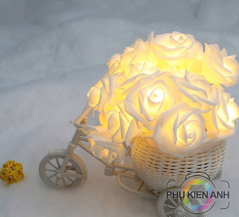 Bong-led-hoa-hong-20-bong-hop-pin-(2)