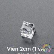 da-vien-gia-trang-tri-chup-anh-du-size-(2)