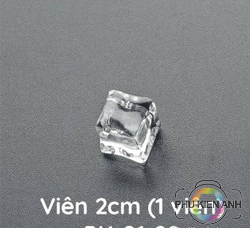 da-vien-gia-trang-tri-chup-anh-du-size-(2)